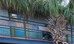 5908 Gaston - PLAZA Courtyard 3